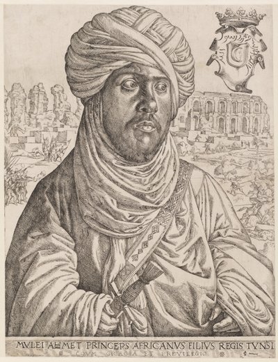 Portrait of Mulay Ahmad by Jan Cornelisz Vermeyen